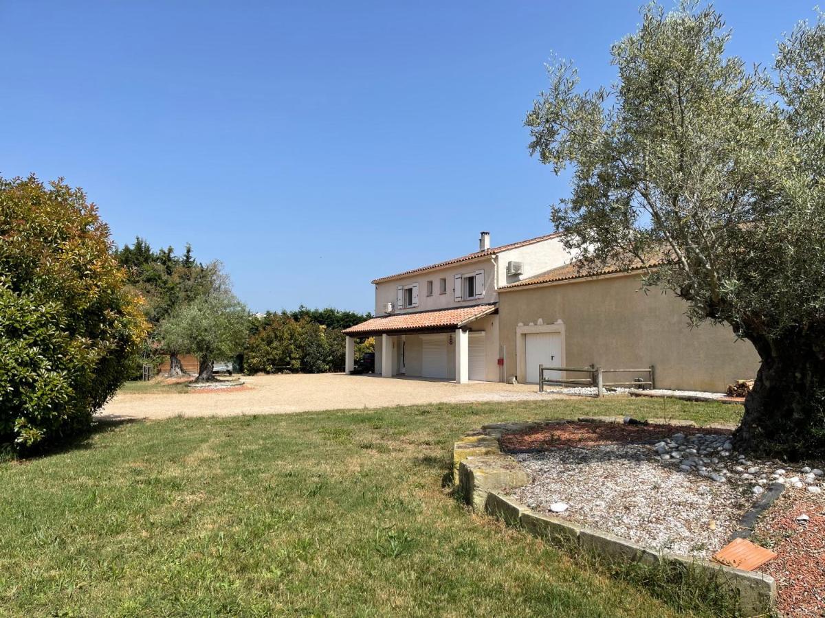 Studio 40M2 Avec Terrasse Le Mas De Lauriane Saintes-Maries-de-la-Mer Exterior photo